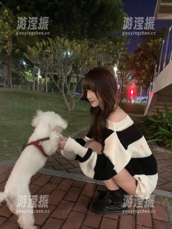 51cg官网网址永久链接指南，助你畅享最全吃瓜内容资源