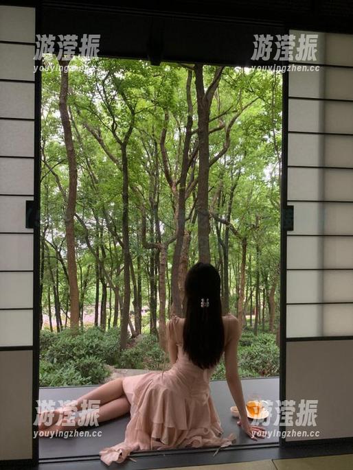 51吃瓜最新吃瓜入口链接最新版本更新说明