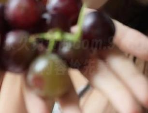 永久免费的com.91cg最新吃瓜内容抢先看