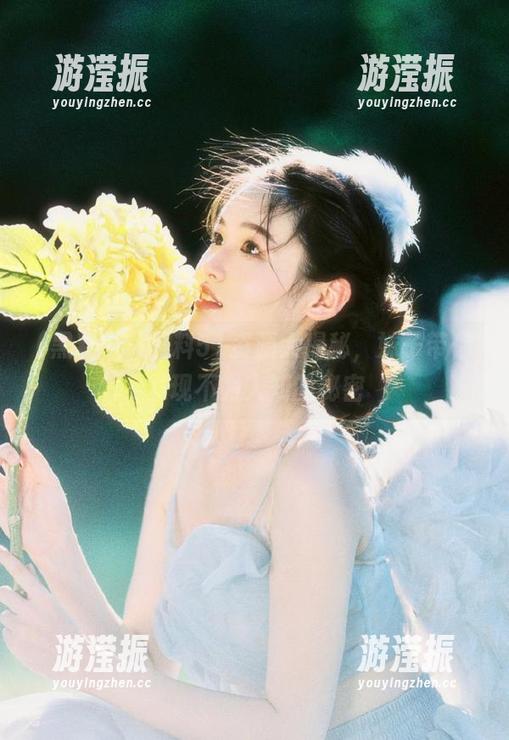 黑料51资源大揭秘，妹子带你发现不为人知的秘密