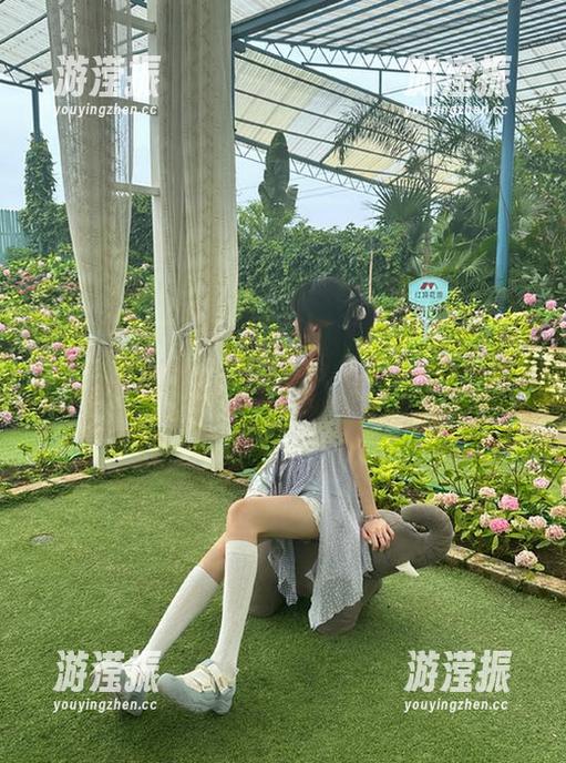 www.黑料不打烊多条线路齐发，热门网址持续更新