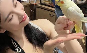 黑料不打烊吃瓜在线，独家呈现最新娱乐圈黑料和热点新闻