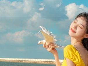 黑料社区2025网站快速访问线路布局
